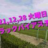 2021,12,28 火曜日 トラックバイアス予想 (中山競馬場、阪神競馬場)