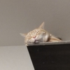 エアコンの時期。