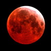 Blood Moon 