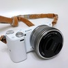 SONY α NEX-5TとSIGMA 30mm F2.8 DNで撮る春の風景写真。