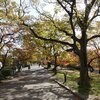 気持ちが前を向いてくれる夙川の散歩道