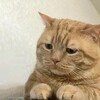 生きていてゴメン (p´д`q)