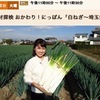 冬の白ネギ（２）　「焼きねぎとまぐろのぬたあえ」「極上千住ネギの天ぷら・しゃぶしゃぶ」．そして，ウェールズの郷土料理カウルケニン；本場のウェールズでは，国章となっているリーキを用います．聖デービッドの日（3月1日）には，プリンス・オブ・ウェールズ，チャールズ皇太子もリーキを胸につけて祝います．　NHKBS“食材探検おかわり！にっぽん”