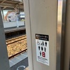 野里を歩く