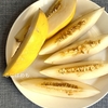 ラグビーボールのような黄色い皮・白い果肉のメロン！「カナリアメロン:Canary Melon」切り方・保存方法。