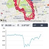 駒沢30km走