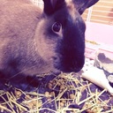 干物女の奮闘記。