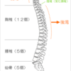 姿勢が悪い人必見！正しい姿勢への矯正術！