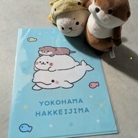 あした車旅についてと神奈川への二往復目から