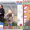 テレポーテーション