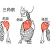 身体の使い方シリーズその124『三角筋に力を入れない』肩の力を抜くポイントを解説致します‼︎クライマー・武術家一般の方々にもオススメです。肩凝り予防にも効果的です‼︎