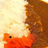 カレーと私　番外編