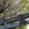 大野台御嶽神社・大野台中央公園（相模原市南区大野台）