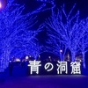 イルミネーションはじまりました