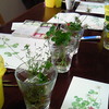 水彩教室:白詰草とヘビイチゴ