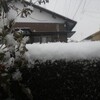 朝から降り続く雪！