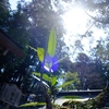 日本神道の大元締め【吉田神社】をゆく｜吉田神道、後の「山蔭神道」（藤原・山蔭神道）＠京都2024