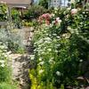 薔薇のある庭
