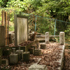 墓地のネコ（Jul. 1, 2007）
