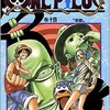 ONE PIECE14