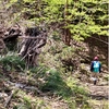 【新うつくしま百名山】富士山が見える北限の山、川俣町の花塚山（918m）に登った話。【山開き】