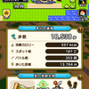 【DQW】教えてくれルビス