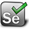 Selenium-WebDriver を使って工数入力チェック業務を自動化