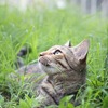私だと思っていたモノが全て対象だったとしたら？