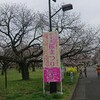 小金井公園に行って来ました❗