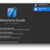 Xcode 12.0 beta (12A6159)