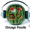 Chicago　Poodle／ナツメロ（2009）