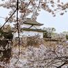 【２０２１年】大阪城公園の桜は満開。昨年の今頃を思い返す