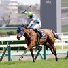 初の滞在競馬はメリット大⋯なはず？