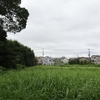 2022年8月4日（水）伝統的七夕　北日本で水害多発
