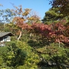 根津美術館　鈴木其一　夏秋渓流図屏風