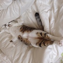 リドヴォーでシャンパーニュ。