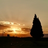 糠田橋夕景/月景（埼玉県吉見町/鴻巣市）