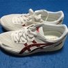 (シューズ7) ASICS スカイセンサージャパン