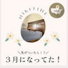 気がついたら３月になってた！近況報告！