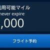 ようやくスカイマイル発券