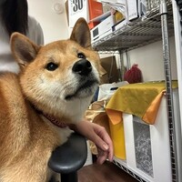 パンツのパンツは　スヌーピー　🎵　働くオレは　すごいのだ！？