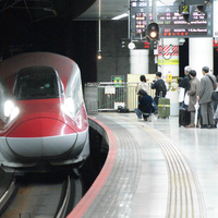 秋の東北・上越・北陸新幹線撮影記in2025＜その４＞ E2系なすの・やまびこ、E3系こまち・はやて・回送、E5系はやぶさ、E6系こまち、E7系とき、W7系あさま、E8系つばさ。