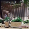 着工