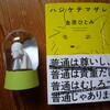 あけましておめでとうございます！今年の年越し本はこれ！今年の年越し犬、17歳！まだまだ元気です