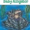 アリゲーターの誕生から成長していく過程を学べる、PGYシリーズから『Baby Alligator』のご紹介