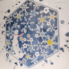「大橋忍 切り絵作品展 - 影をめぐり ほとりを渡る」（上野・ROUTE GALLERY）
