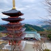 【ツベルクリンWalker】五重塔もあるよ！本福寺と寺カフェ【佐賀県基山町】