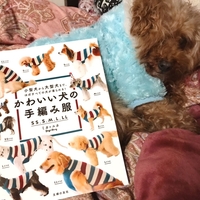 かわいい犬の手編み服】A～Eの糸情報 - 乙女の手芸アトリエ