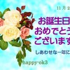 11月28日お誕生日おめでとうございます！