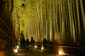 京都嵐山花灯路 と 神戸ルミナリエ